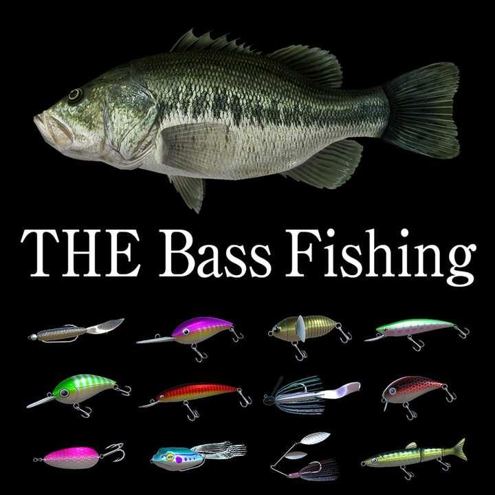 THE Bass Fishing cover image