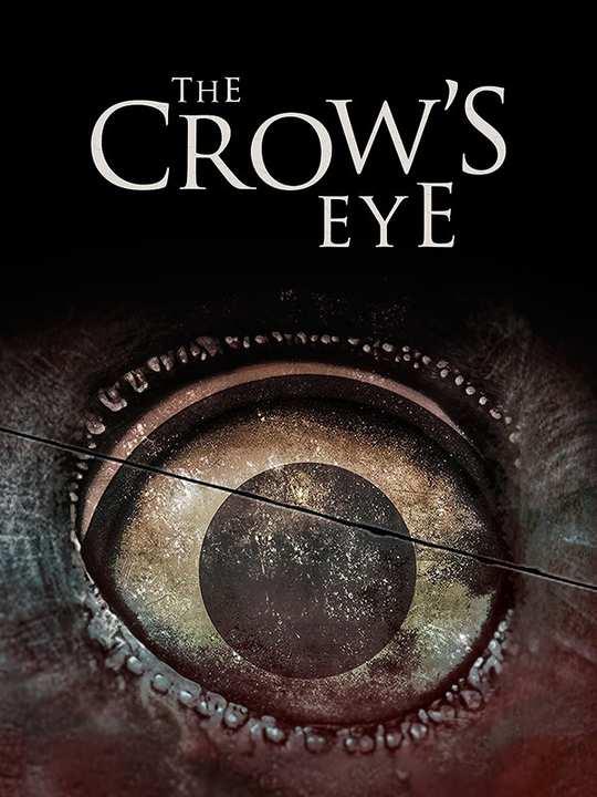 The Crow's Eye cover image