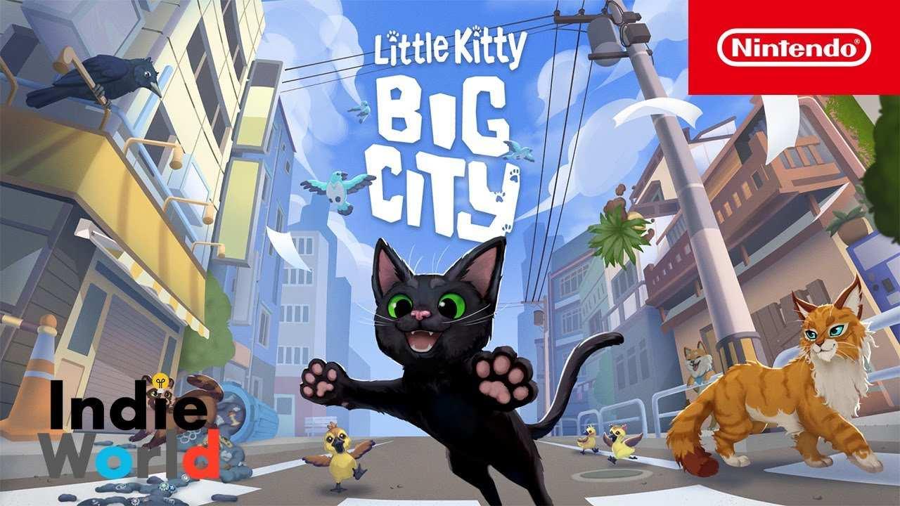 Little Kitty, Big City cover image