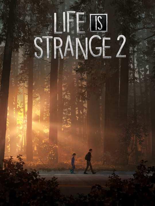 Life is Strange 2 cover image