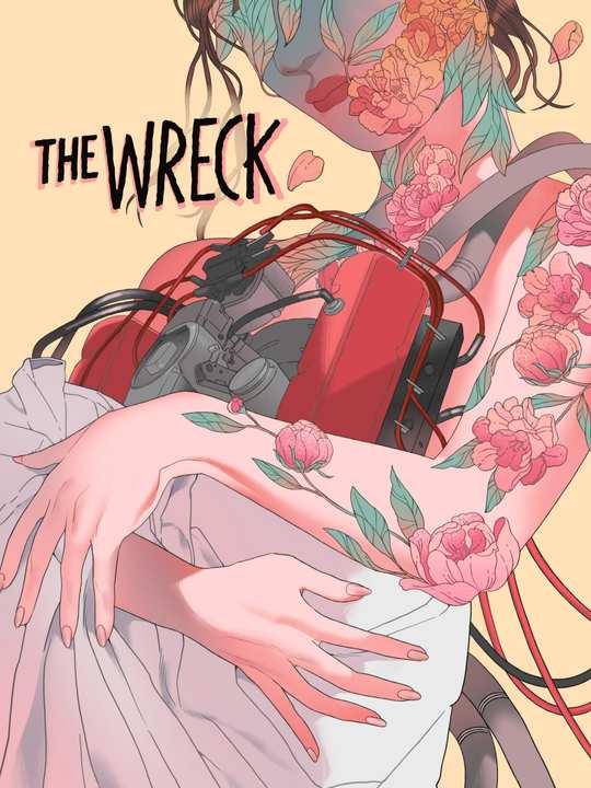 The Wreck cover image