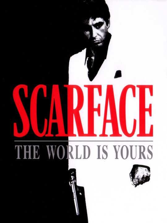 Scarface: The World Is Yours cover image