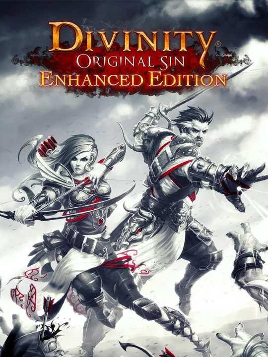 Divinity: Original Sin Enhanced Edition cover image