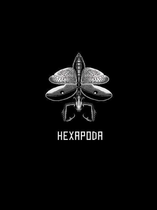 Hexapoda cover image