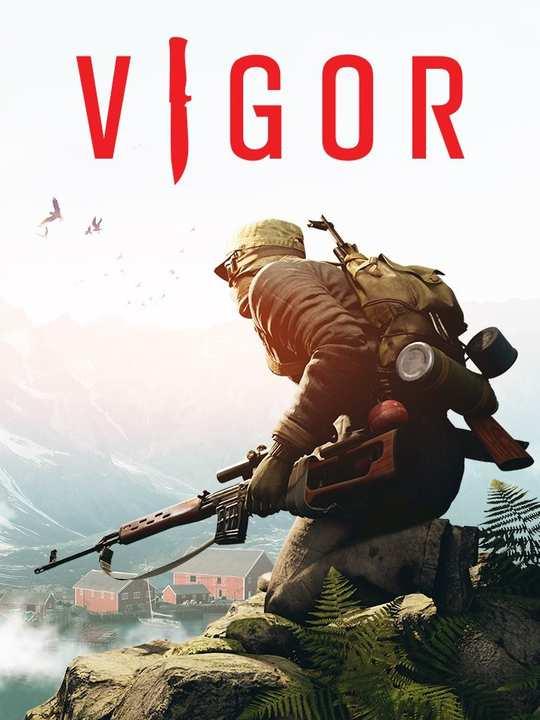 Vigor cover image