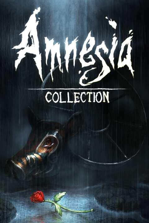 Amnesia Collection cover image