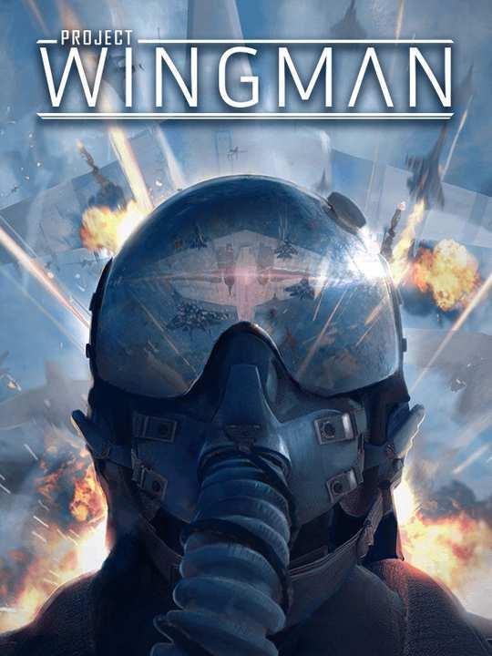 Project Wingman cover image