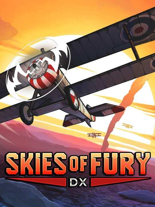 Skies of Fury DX cover image