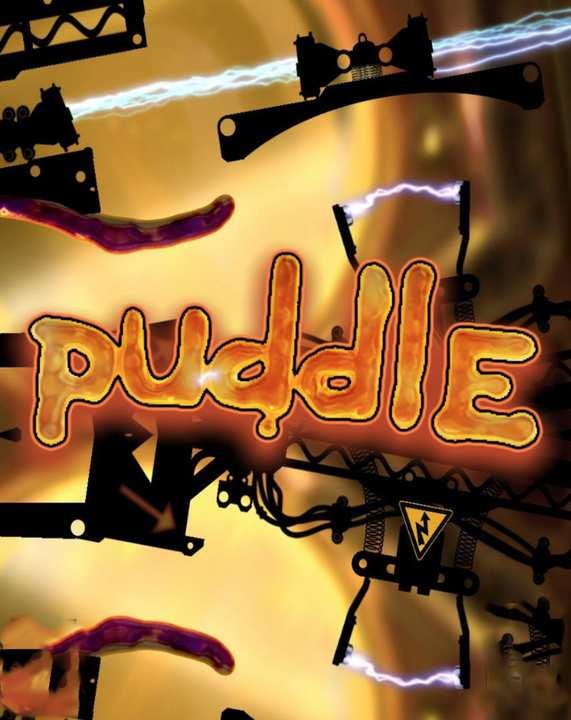 Puddle cover image