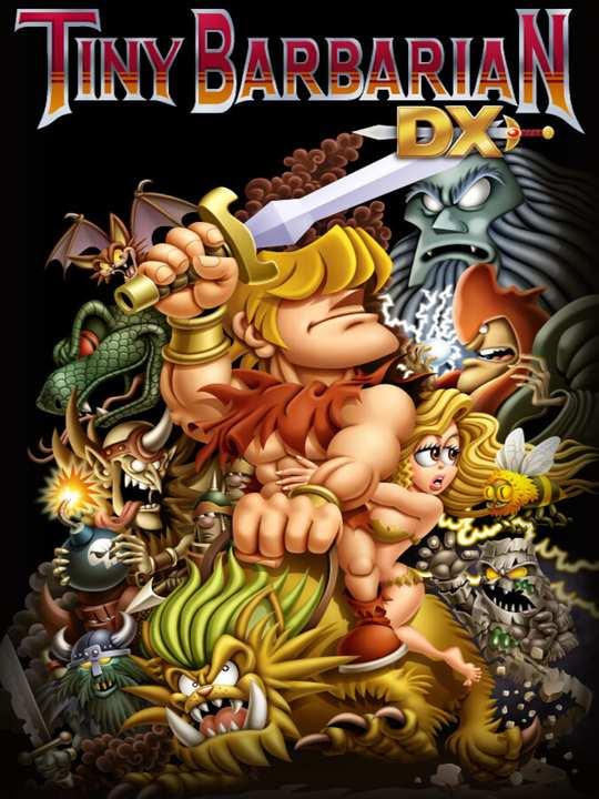 Tiny Barbarian DX cover image