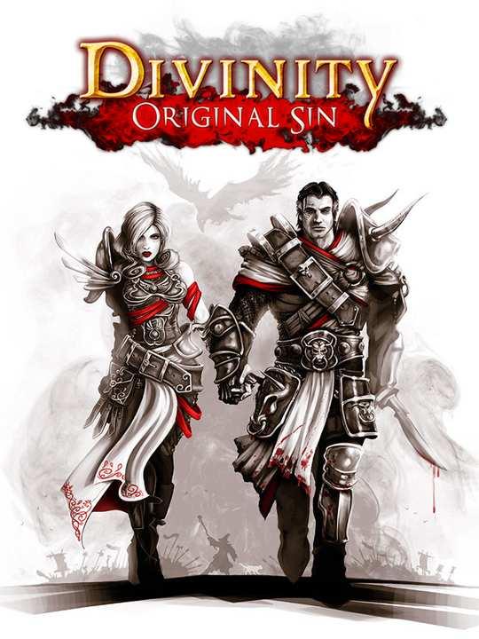 Divinity: Original Sin cover image