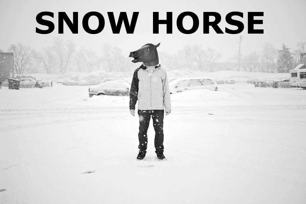 Snow Horse cover image