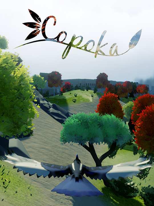 Copoka cover image