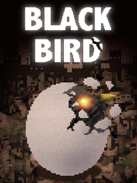 black Bird cover image